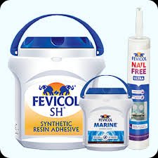 Fevicol wood adhesive
